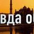 Индия без прикрас В гостях индолог и переводчик И Б Остапенко