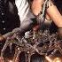 Дикий дикий Запад Wild Wild West 1999 Трейлер к фильму