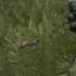 Stalker 2 Anomalous Jump Heart Of Chernobyl S T A L K E R 2