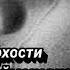 Гиря дорам дархости