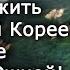 Не хотите жить в Северной Корее Попробуйте пожить в Южной кореевед Константин Асмолов Научпоп