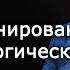 Частные палеонтологические коллекции Лекции по палеонтологии палеонтолог Вадим Титов Научпоп