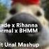 Alizade X Rihanna Anormal X BBHMM Yigit Unal Mashup