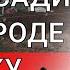 огород первый год что посадить новичку на огороде