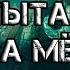 Shadow Of The Tomb Raider Испытание Голоса мертвых