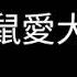 老鼠愛大米