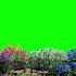 Grass And Flowers Motions Green Screen Effects Chroma Key Animations Effects VideoHD 1080