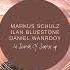 Markus Schulz In Search Of Sunrise 19 Continuous Mix Black Hole Recordings Songbird Holland