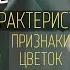 Семейство Лилейные Семейство Злаковые Биология 6 класс Однодольные растения Злаки Видеоурок