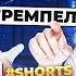 Реальный смысл фразы РАБОТА НЕ ВОЛК Shorts