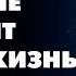 СИЛА МЫСЛИ НАСТРОЙ НА КАЖДЫЙ ДЕНЬ который изменит вашу жизнь