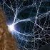 Can Particles Be Quantum Entangled Across Time