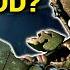 Is Springtrap ANY GOOD Dead By Daylight