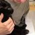 Benji Is So Clean Now Benji Simba