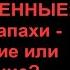 БДСМ для чайников 16 Запрещенные женские запахи Извращение или наслаждение