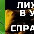 ЛИХОРАДКА УБИЙСТВЕННАЯ КИЕВ УКРАИНА КАК СПАСТИСЬ НА ДОНАТ 4731 2196 4161 0401