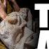 Тихий дон Шолохов Аудиокнига часть 3