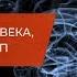 БЕСПЛАТНЫЙ ВЕБИНАР КАК ЧИТАТЬ ЧЕЛОВЕКА ИСПОЛЬЗУЯ НЛП