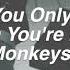 Why D You Only Call Me When You Re High Artic Monkeys Lyrics