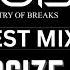 Ministry Of Breaks Guest Mix GOSIZE BREAKBEAT 2023