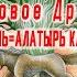 Найдены Мировое Древо и Алатырь камень Грааль Виктор Максименков