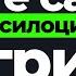 Как псилоцибин может перестроить наш мозг его терапия и риски Подкаст Эндрю Губерман