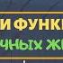 Покровы тела животных Биология 8 класс Строение кожи Слои функции Дерма эпидермис