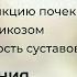 Вебинар КАК ОБНОВИТЬ ФУНКЦИЮ ПОЧЕК СПРАВИТЬСЯ С ВАРИКОЗОМ ОБЕСПЕЧИТЬ ГИБКОСТЬ СУСТАВОВ