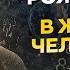 Не Упусти Этот Возраст Нечто удивительное происходит в 33 42 46 60