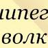 Эрнест Сетон Томпсон Виннипегский волк виннипегскийволк сетонтомпсон