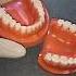 My Tools Are Shiny My Wallet Is Empty D2 Dentalschool Medlife Trending Dental College