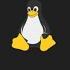 This New Linux Patch Can Speed Up Reading Requests