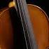 Contemporary Style Violin Inspired By Gaetano Sgarabotto A Timeless Evolution