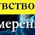 Фрэнк Кинслоу Эйфо чувство и сила Намерения Глава 3 Чувство мысль и действие аудиокнига