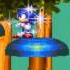 Sonic 3 And Knuckles Mushroom Hill Zone Giant Ring Locations