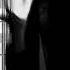 White Fox Music The Long Journey