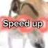 Speed Up У России три пути