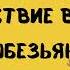 К 140 летию К Чуковского Громкие чтения Доктор Айболит Часть 1 Начало Доктор и его звери