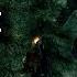 Skyrim Случайные Встречи и Не Отмеченные Места Скайрима Секреты 366