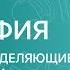 ГЕОГРАФИЯ 8 класс Факторы определяющие климат России