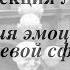 Лекция Патология эмоций и воли со слайдами 2018 Проф каф психиатрии РязГМУ Меринов А В