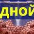 ИСЦЕЛЕНИЕ ЩИТОВИДНОЙ ЖЕЛЕЗЫ ОТ ОБРАЗОВАНИЙ СКРЫТЫЕ ПОДСОЗНАТЕЛЬНЫЕ ВНУШЕНИЯ СКРЫТЫЕ АФФИРМАЦИИ