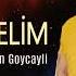 Elcin Goycayli Ft Oruc Amin Delim Delim Remix