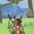 Get Stick Bugged LOL The Legend Of Zelda Tears Of The Kingdom