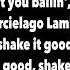 Shake It W Lyrics Blac Youngsta Feat Chris Brown Ty Dolla Sign