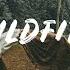 Fairlane Wildfire Lyrics Feat Nevve