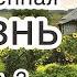 Повесть Подаренная жизнь Часть 3 Светлана Тимохина МСЦ ЕХБ Новинка 2019