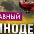 Виноделие Золотого берега Крыма Главный винодел Шато Ай Даниль Андрей Макагонов