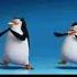 Cute Penguins Asa Xosa Oksy Avdalyan Song Oksy Avdalyan Asa Xhosa