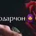 очачон